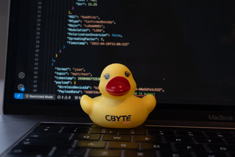 Rubber ducks, een programmeurs beste vriend